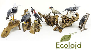 Ecoloja